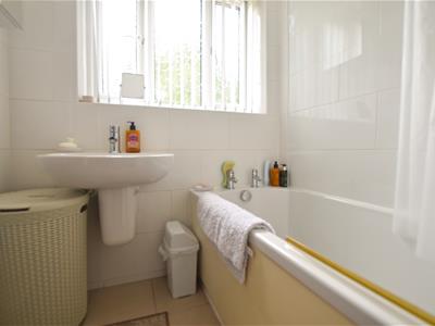 Picture 7